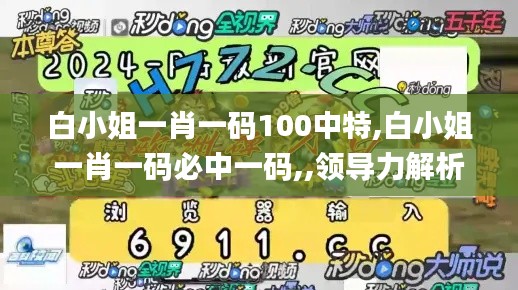 白小姐一肖一碼100中特,白小姐一肖一碼必中一碼,,領(lǐng)導(dǎo)力解析落實(shí)_52.303