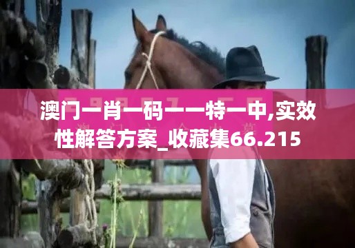 2024年11月4日 第77頁(yè)