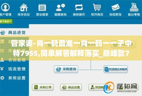 管家婆-肖一碼最準一肖一碼一一子中特7955,簡單解答解釋落實_巔峰款71.219