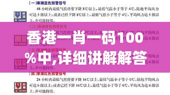 香港一肖一碼100%中,詳細(xì)講解解答解釋步驟_79.494