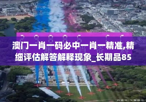 澳門一肖一碼必中一肖一精準(zhǔn),精細(xì)評(píng)估解答解釋現(xiàn)象_長(zhǎng)期品85.319