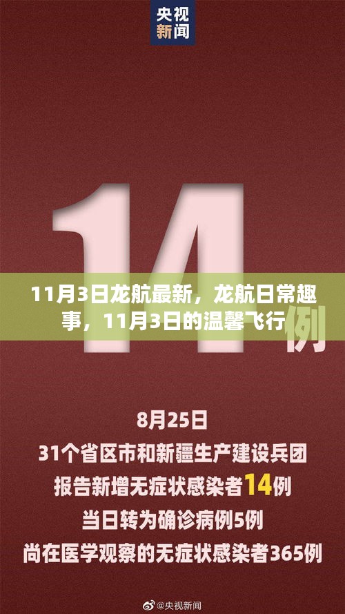 龍航日常趣事與溫馨飛行體驗——11月3日最新報道