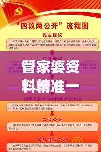 管家婆資料精準(zhǔn)一句真言,務(wù)實化的落實方案_精準(zhǔn)版74.620