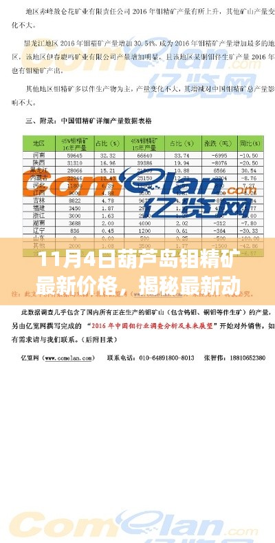 揭秘葫蘆島鉬精礦最新價格動態(tài)及走勢分析（以11月4日為例）