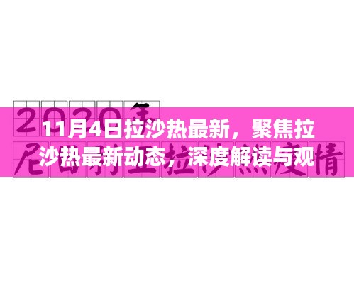 聚焦拉沙熱最新動(dòng)態(tài)，深度解讀與觀點(diǎn)碰撞（深度報(bào)道）