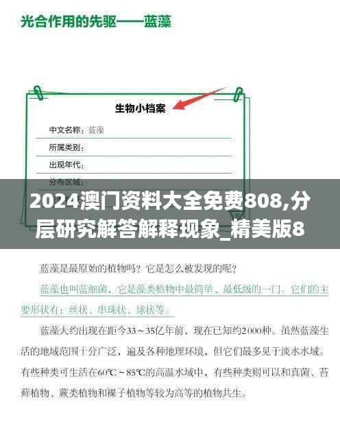 2024澳門(mén)資料大全免費(fèi)808,分層研究解答解釋現(xiàn)象_精美版81.605