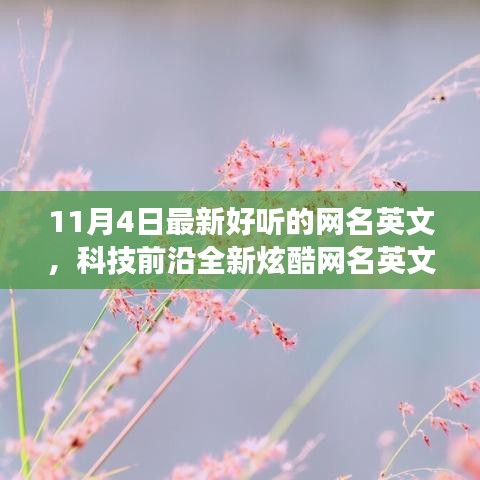 最新高科技產(chǎn)品亮相，體驗(yàn)未來(lái)生活方式的轉(zhuǎn)變，精選炫酷英文網(wǎng)名推薦