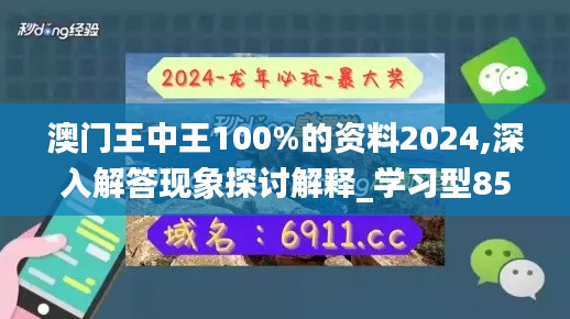 澳門王中王100%的資料2024,深入解答現象探討解釋_學習型85.24