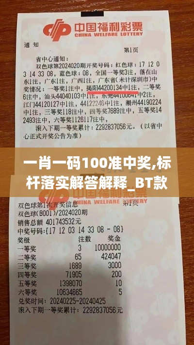 一肖一碼100準中獎,標桿落實解答解釋_BT款44.350