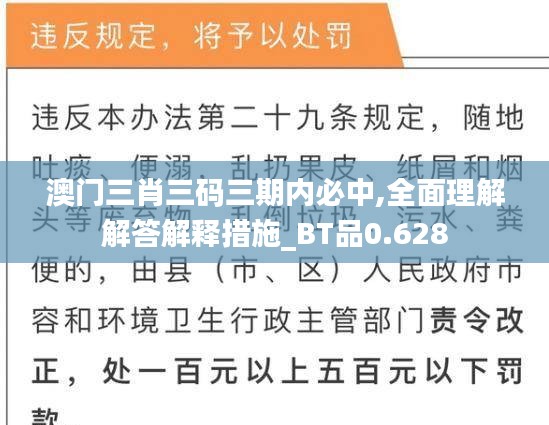 澳門三肖三碼三期內(nèi)必中,全面理解解答解釋措施_BT品0.628