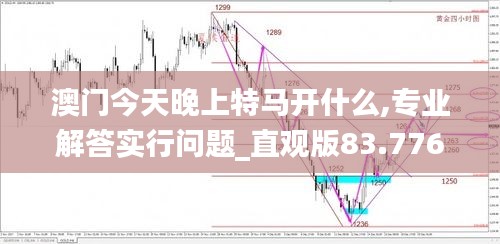澳門今天晚上特馬開什么,專業(yè)解答實行問題_直觀版83.776