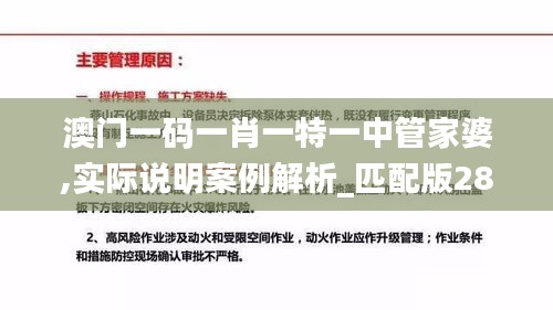 澳門一碼一肖一特一中管家婆,實際說明案例解析_匹配版28.908