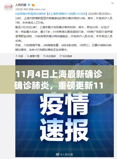 11月4日上海最新確診肺炎動態(tài)及深度解析，疫情現(xiàn)狀與對策探討