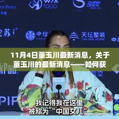 董玉川最新消息全面解讀，獲取與解析資訊的指南（適用于初學(xué)者與進(jìn)階用戶）