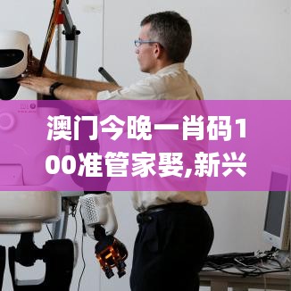 2024年11月5日 第31頁