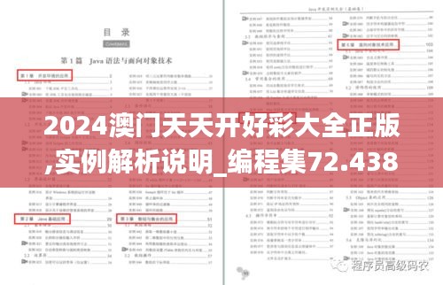 2024澳門天天開(kāi)好彩大全正版,實(shí)例解析說(shuō)明_編程集72.438