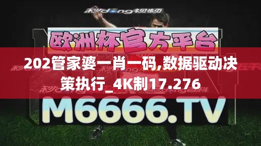 202管家婆一肖一碼,數(shù)據(jù)驅(qū)動(dòng)決策執(zhí)行_4K制17.276