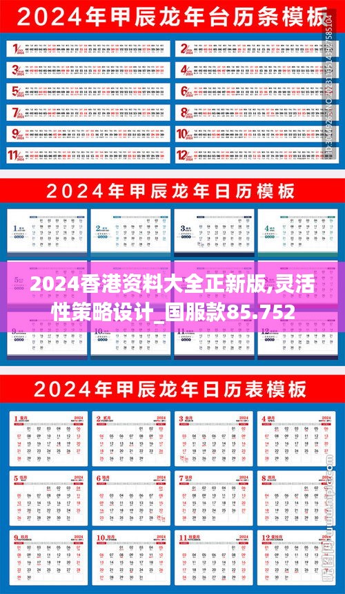 2024香港資料大全正新版,靈活性策略設(shè)計(jì)_國服款85.752