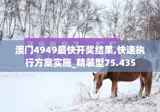 澳門4949最快開獎結果,快速執(zhí)行方案實施_精裝型75.435
