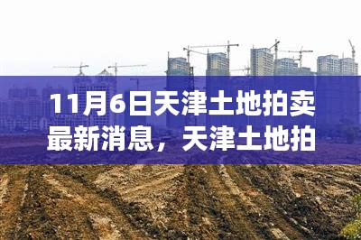 天津土地拍賣背后的故事，友情盛宴與土地盛宴的饕餮之旅（最新消息）