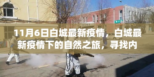 白城最新疫情下的自然之旅，尋找內(nèi)心寧靜與力量的旅程（11月6日更新）