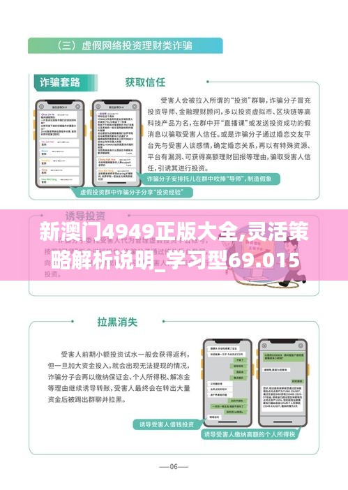 新澳門4949正版大全,靈活策略解析說明_學(xué)習(xí)型69.015