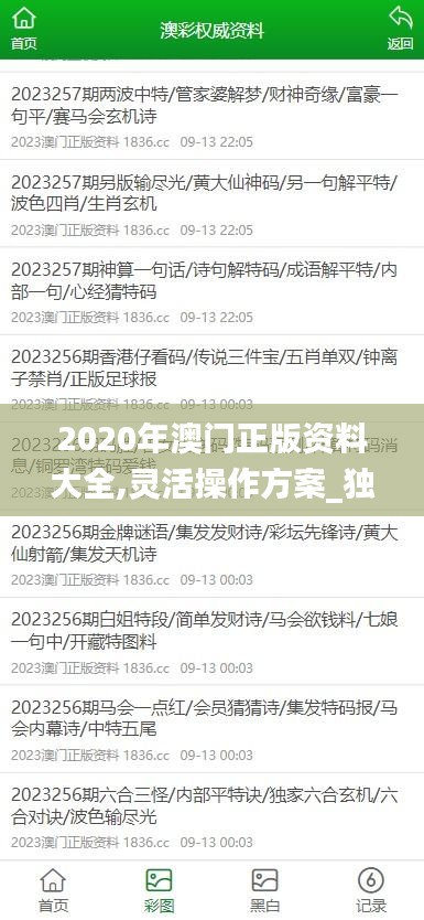 2024年11月6日 第42頁
