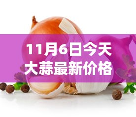 2024年11月6日 第10頁