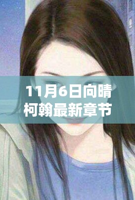 探秘小巷深處的獨特風味，向晴柯翰最新章節(jié)與隱藏特色小店揭秘
