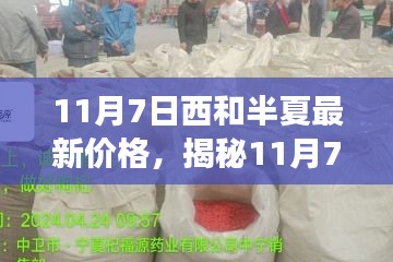 揭秘，西和半夏最新價(jià)格動(dòng)態(tài)及市場(chǎng)趨勢(shì)預(yù)測(cè)（11月7日更新）