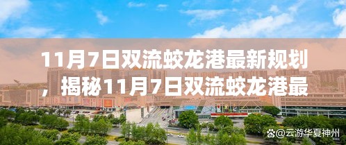 揭秘，雙流蛟龍港最新規(guī)劃展望未來藍圖（11月7日更新）
