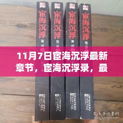 深度解讀與背景剖析，宦海沉浮錄最新章節(jié)及背景剖析（11月7日更新）