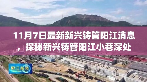 探秘新興鑄管陽江小巷美食寶藏，獨特風味的美食寶藏揭秘（最新消息）