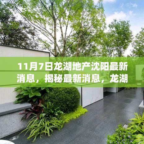 揭秘龍湖地產(chǎn)沈陽(yáng)最新動(dòng)態(tài)，購(gòu)房指南與技能進(jìn)階（11月7日更新）