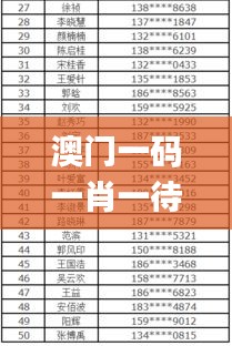 澳門(mén)一碼一肖一待一中廣東,狀態(tài)解答解釋落實(shí)_Prime34.410