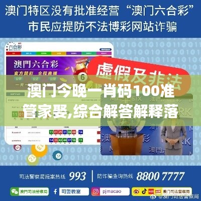 澳門今晚一肖碼100準(zhǔn)管家娶,綜合解答解釋落實(shí)_鉑金版68.964