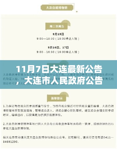 大連市政府公告解讀，最新政策動(dòng)態(tài)及要點(diǎn)解析（十一月七日公告版）