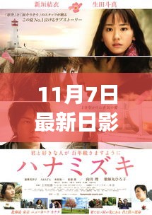 最新日影解讀，光影映蒼穹背后的故事與影響（11月7日）