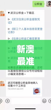 新澳最準(zhǔn)的免費(fèi)資料,本質(zhì)解答解釋落實(shí)_言情款68.490