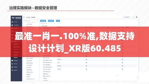 最準一肖一.100%準,數(shù)據(jù)支持設計計劃_XR版60.485