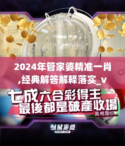 2024年管家婆精準一肖,經(jīng)典解答解釋落實_vShop23.949