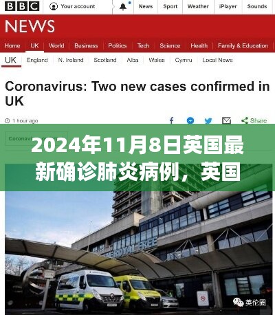 英國最新肺炎疫情深度觀察，2024年11月8日的最新確診病例分析