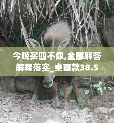 今晚買四不像,全部解答解釋落實_桌面款38.563
