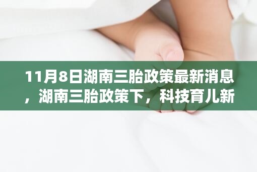走馬觀花 第46頁(yè)