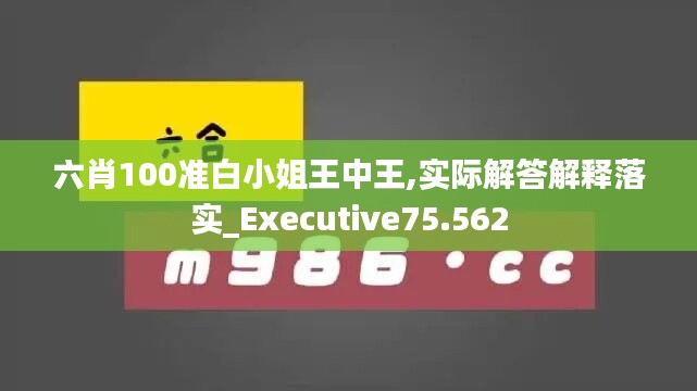 六肖100準(zhǔn)白小姐王中王,實(shí)際解答解釋落實(shí)_Executive75.562