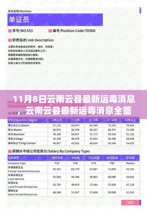 云南云縣最新運(yùn)毒消息揭秘，違法犯罪行為全面評(píng)測(cè)與介紹