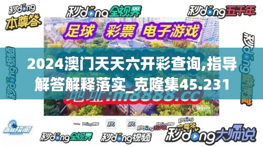 2024澳門天天六開彩查詢,指導(dǎo)解答解釋落實_克隆集45.231