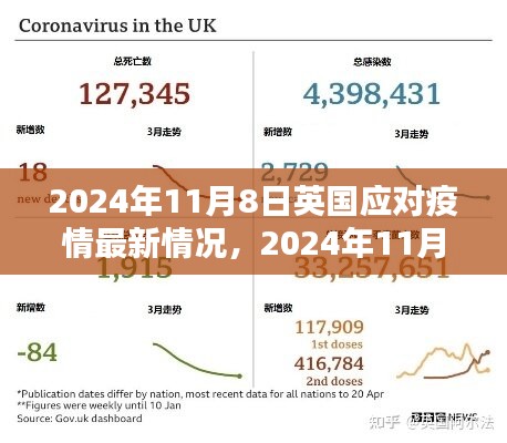 英國(guó)應(yīng)對(duì)疫情最新情況詳解指南（2024年11月8日更新）