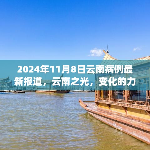 云南病例最新報道啟示錄，變化與知識的力量，云南之光——2024年11月8日病例分析報告
