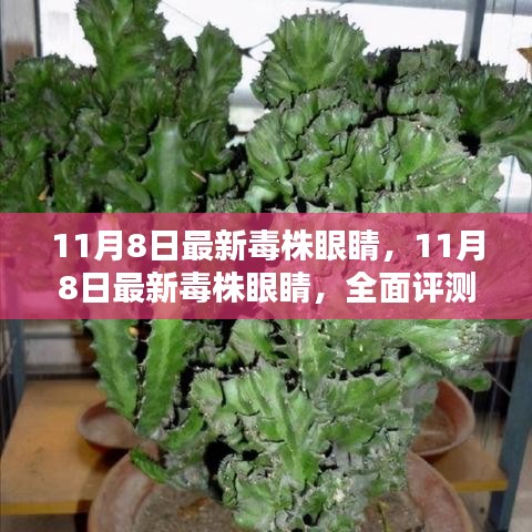 全面評測與介紹，11月8日最新毒株眼睛